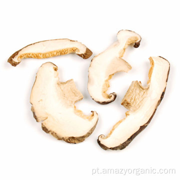 Cogumelo Shiitake Seco Orgânico Inteiro / fatia / em cubos / em pó